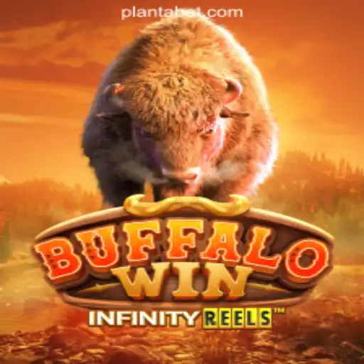 BuffaloWin: Unleashing the Excitement in Online Gaming