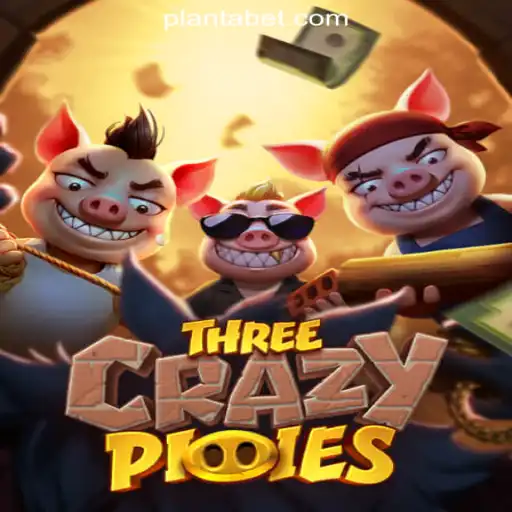 Discover the Exciting World of ThreeCrazyPiggies Slots and PLANTA 777